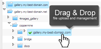 A Drag 'n' Drop Functionality