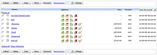 File Manager file listing panel
