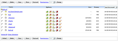 File Manager file listing panel