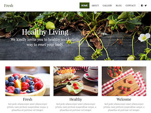Website Builder Theme - 10