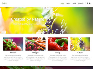 Website Builder Theme - 12