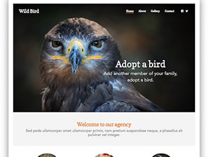 Website Builder Theme - 4